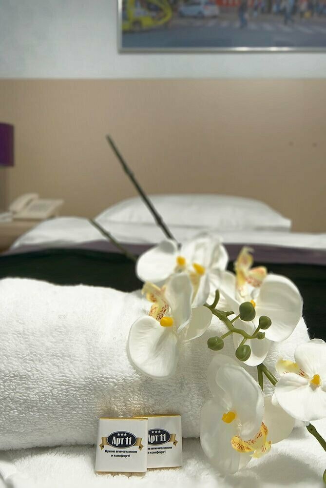 Гостиница Арт 11 Нижний Новгород-152