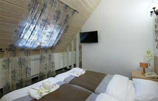 Гостиница Арт 11 Нижний Новгород комфорт с мансардной крышей-3